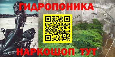 круглые Пушкино