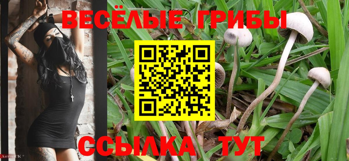 Галлюциногенные грибы мицелий Симферополь